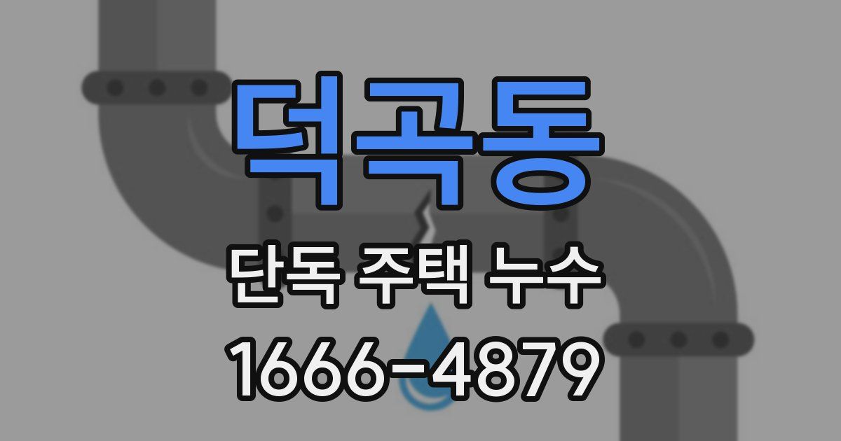 덕곡동 단독 주택 누수