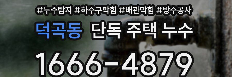 덕곡동 단독 주택 누수