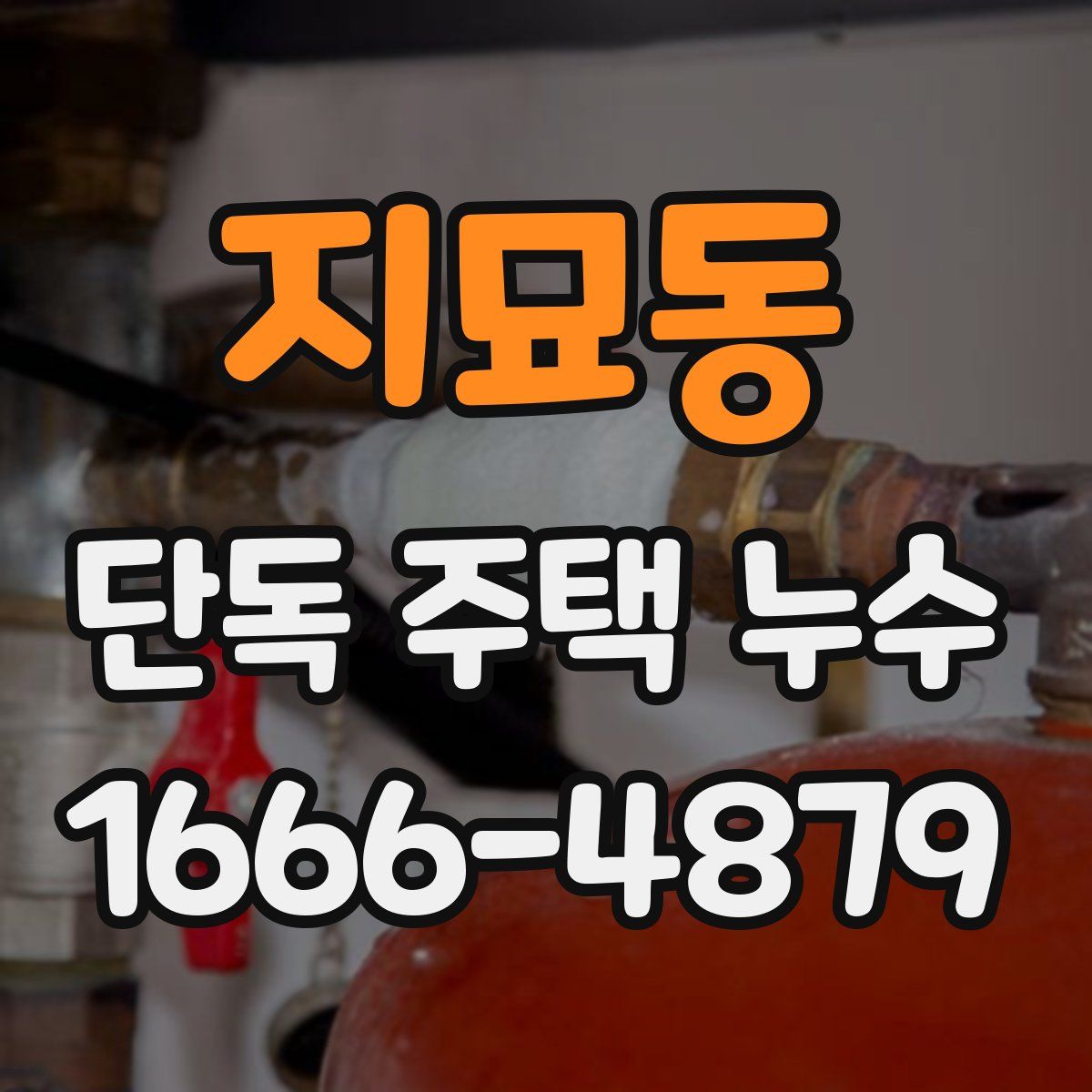 지묘동 단독 주택 누수