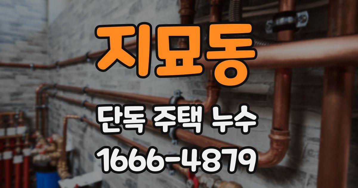 지묘동 단독 주택 누수