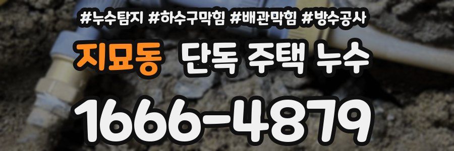 지묘동 단독 주택 누수