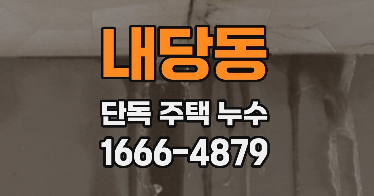내당동 단독 주택 누수
