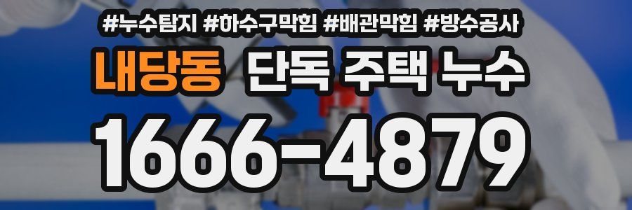 내당동 단독 주택 누수
