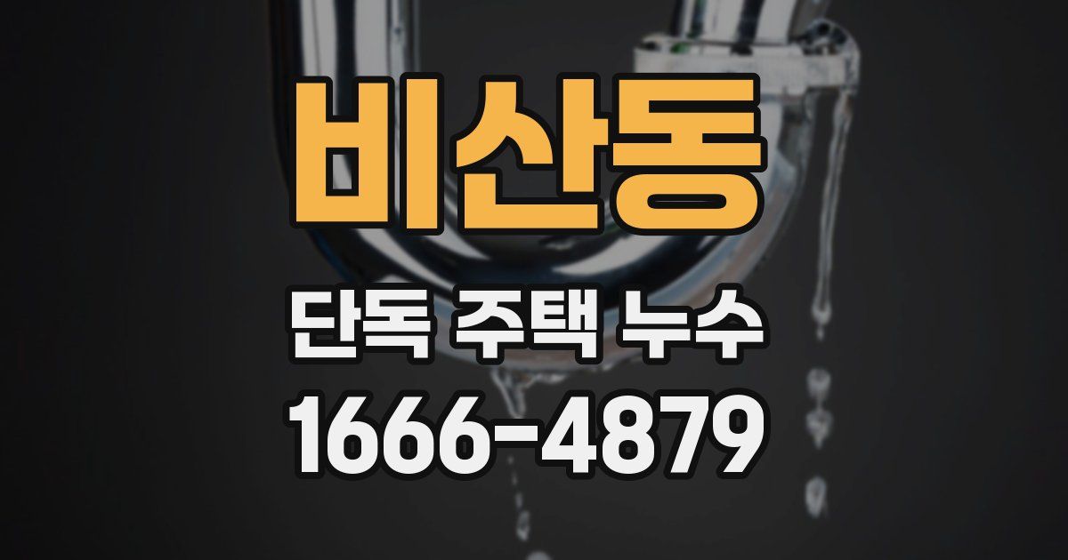 비산동 단독 주택 누수