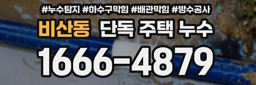 비산동 단독 주택 누수