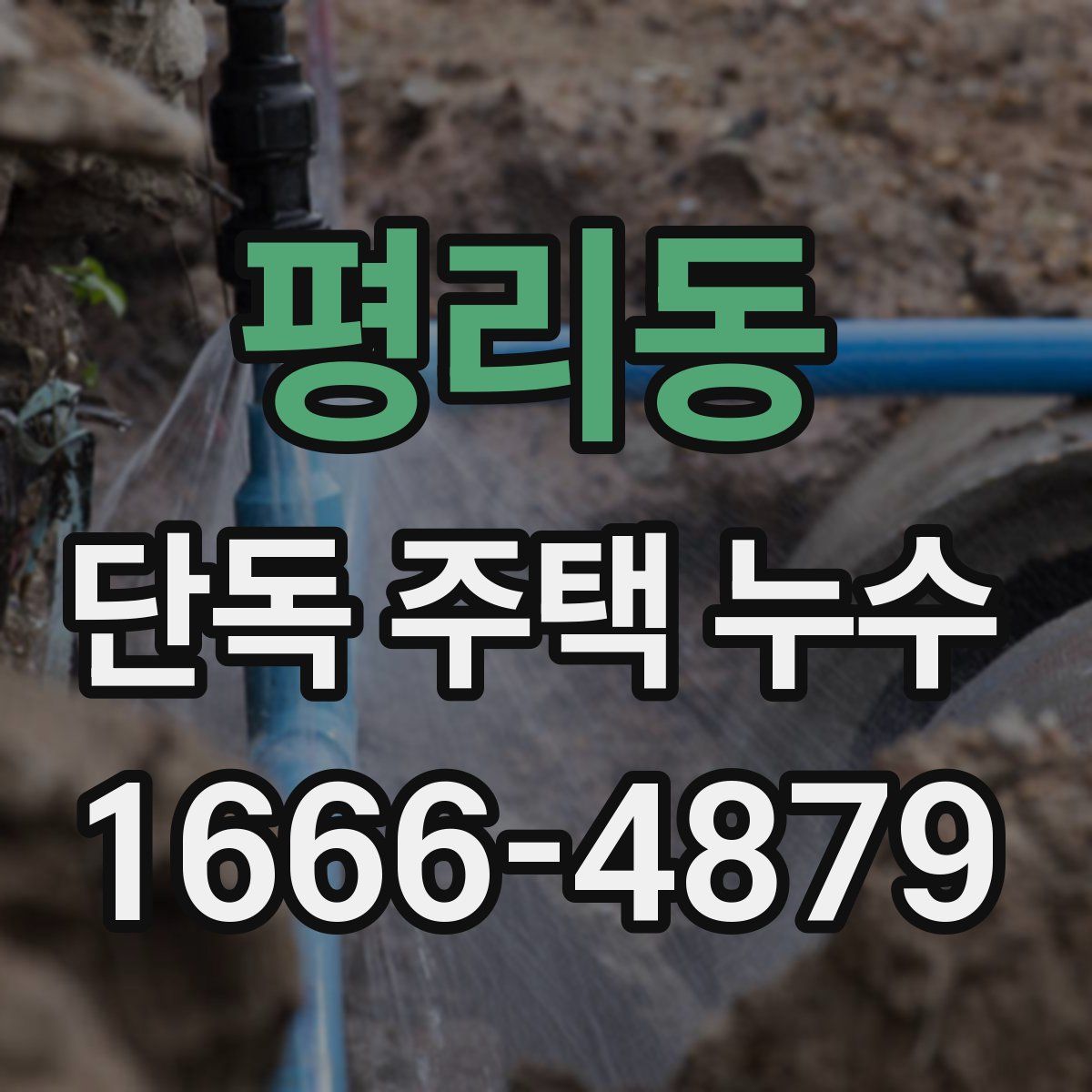 평리동 단독 주택 누수
