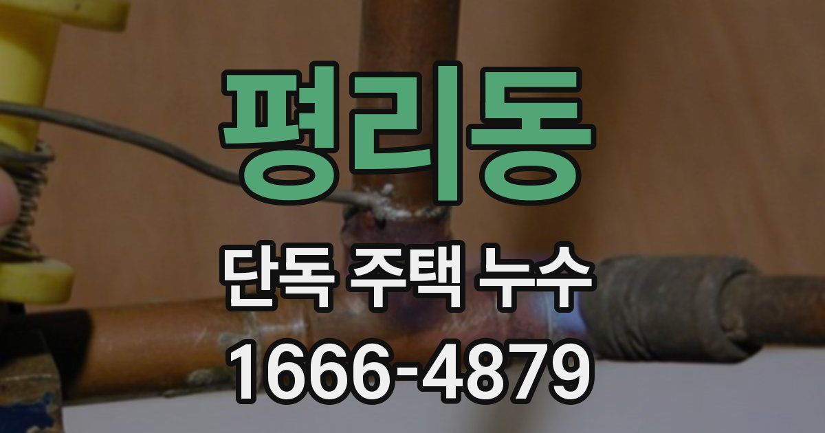 평리동 단독 주택 누수