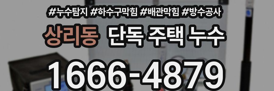 상리동 단독 주택 누수