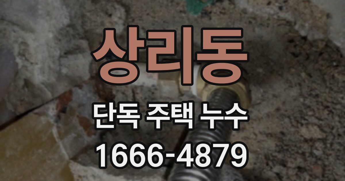 상리동 단독 주택 누수