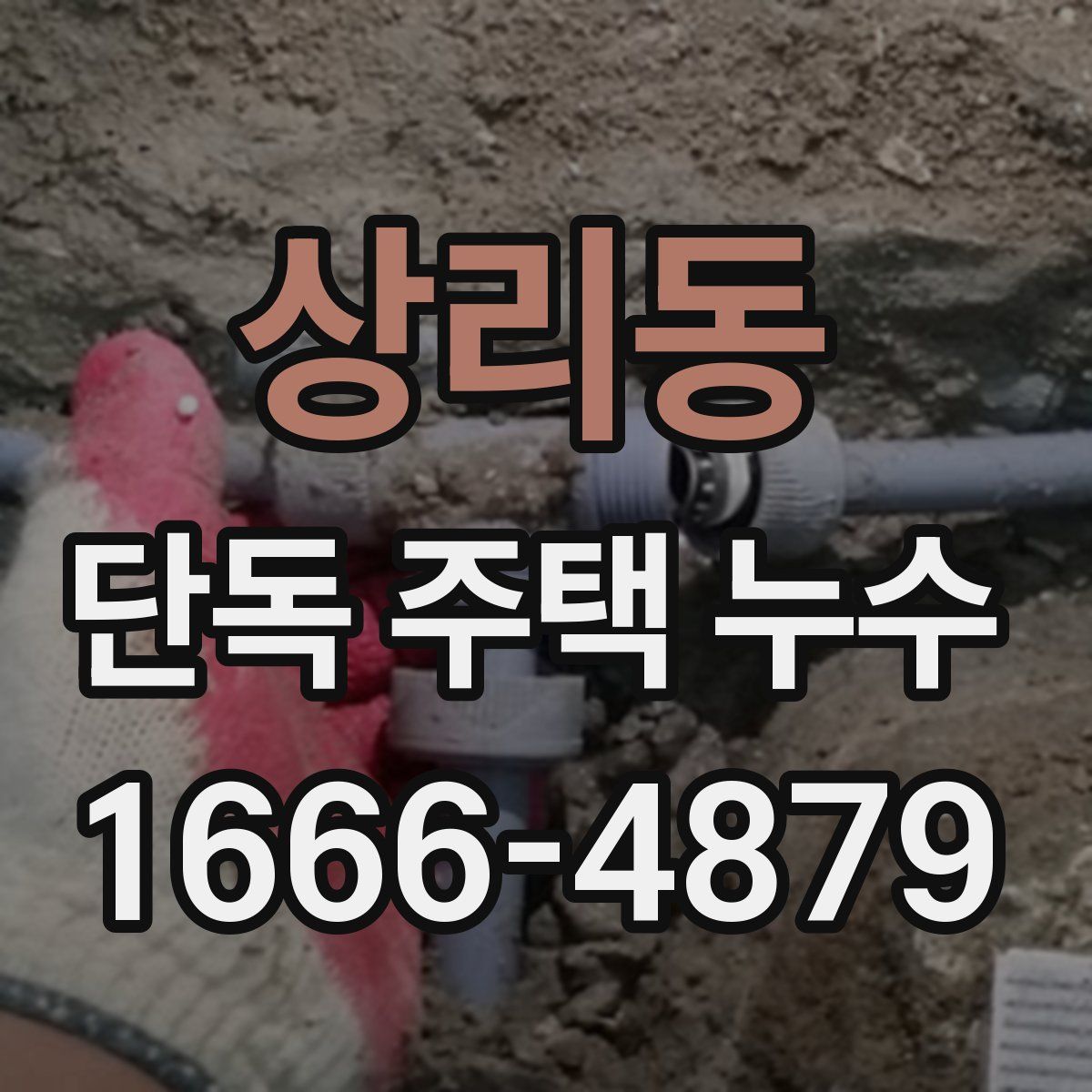 상리동 단독 주택 누수