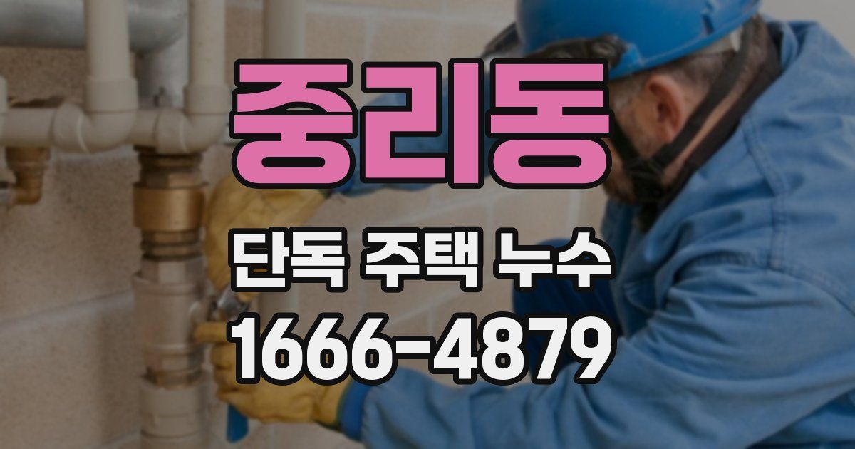 중리동 단독 주택 누수