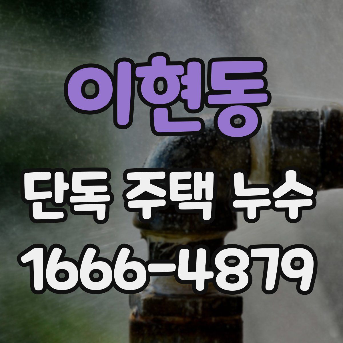 이현동 단독 주택 누수