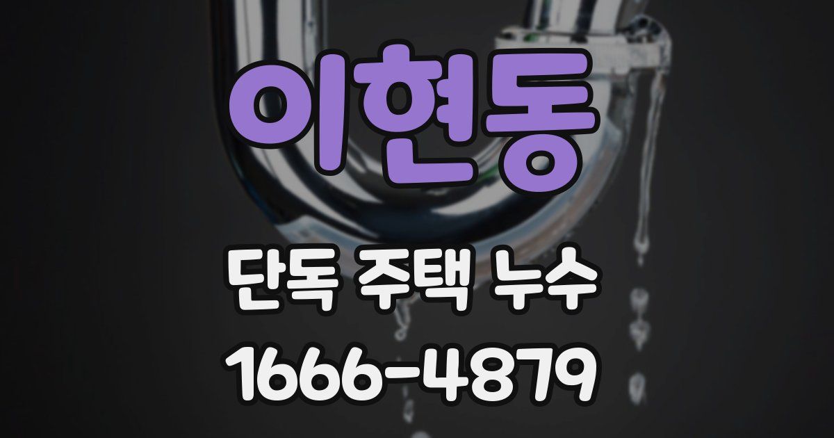 이현동 단독 주택 누수