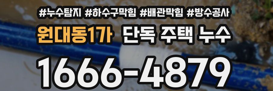 원대동1가 단독 주택 누수
