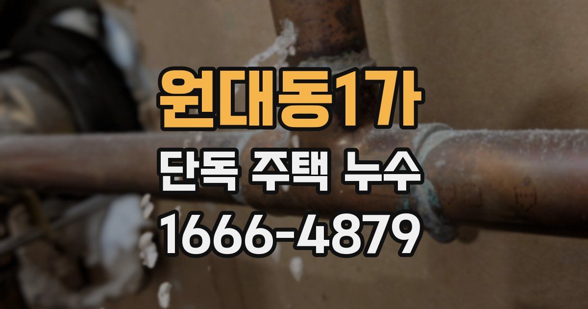 원대동1가 단독 주택 누수
