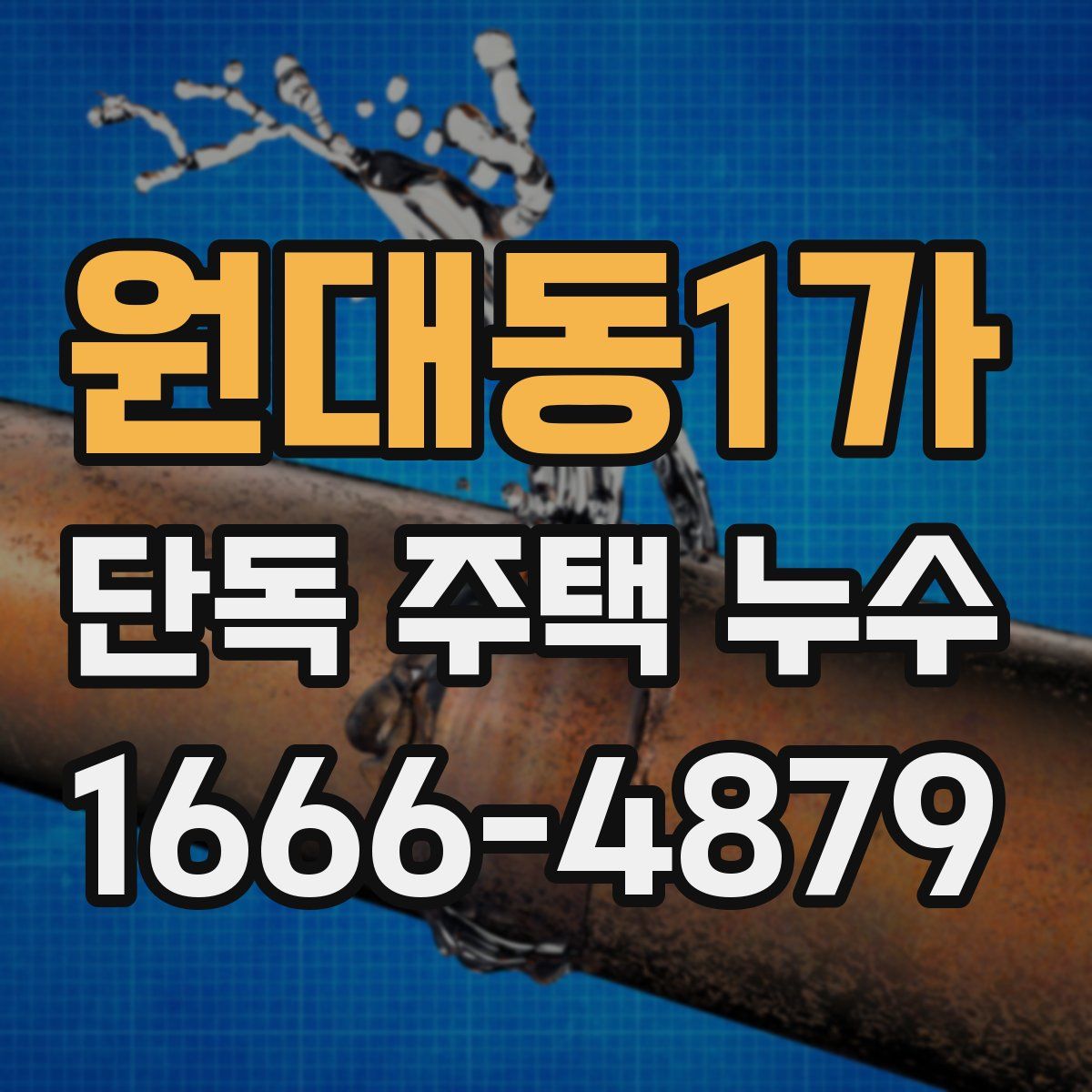 원대동1가 단독 주택 누수