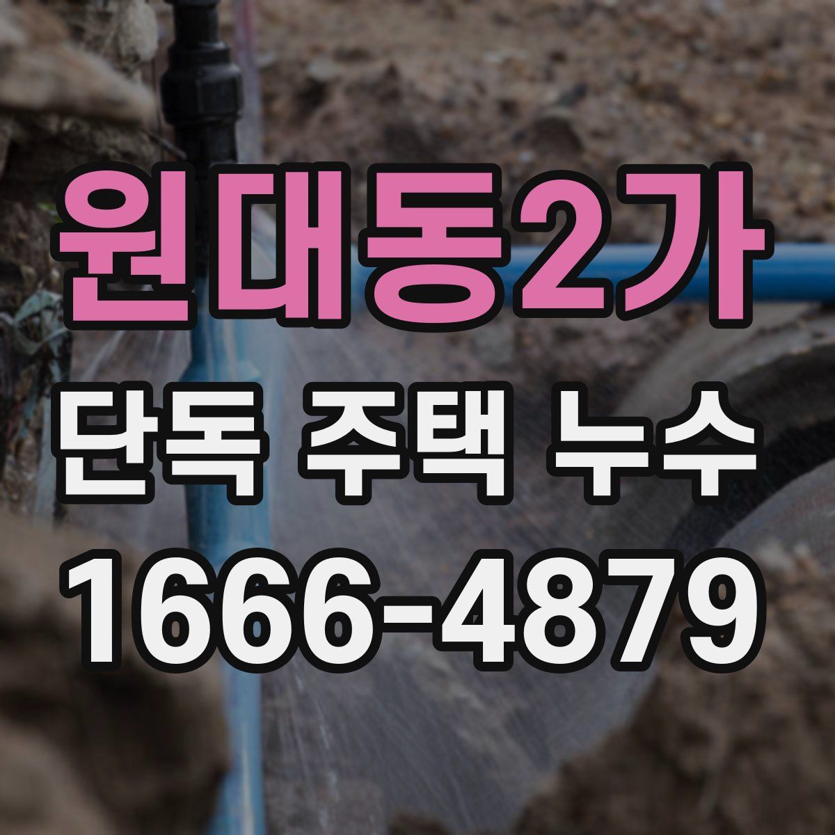 원대동2가 단독 주택 누수