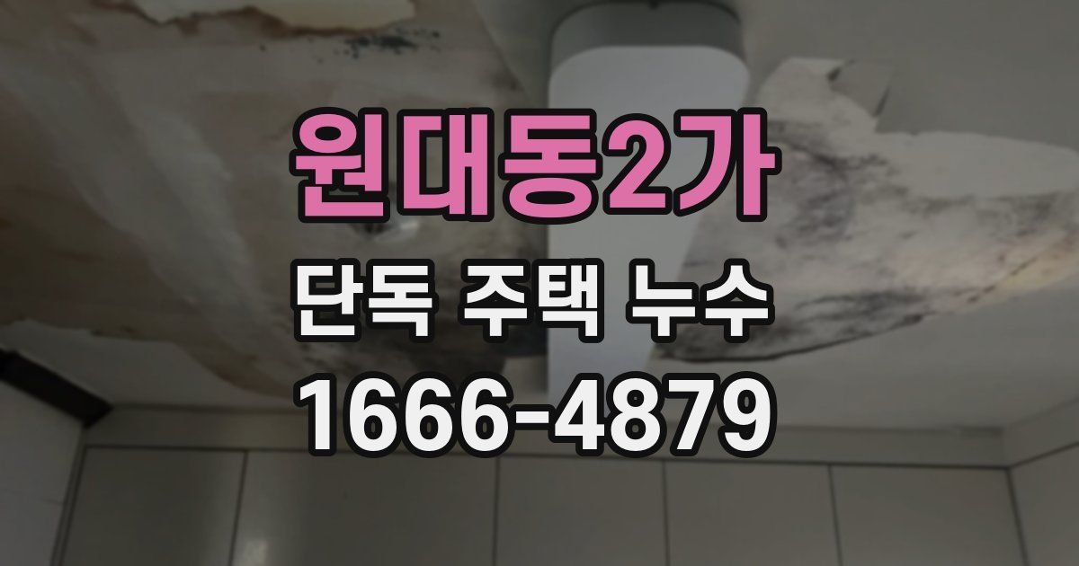 원대동2가 단독 주택 누수