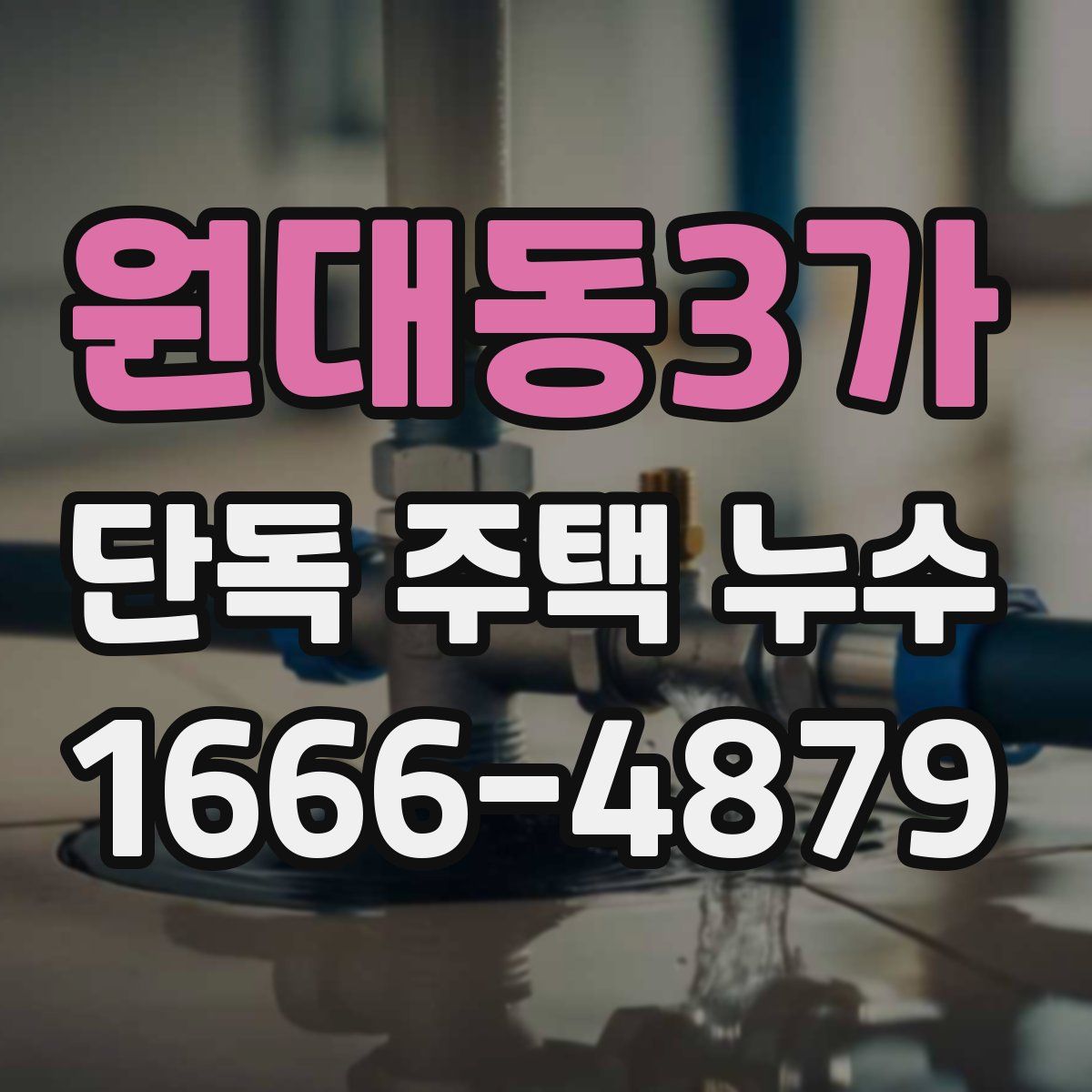 원대동3가 단독 주택 누수