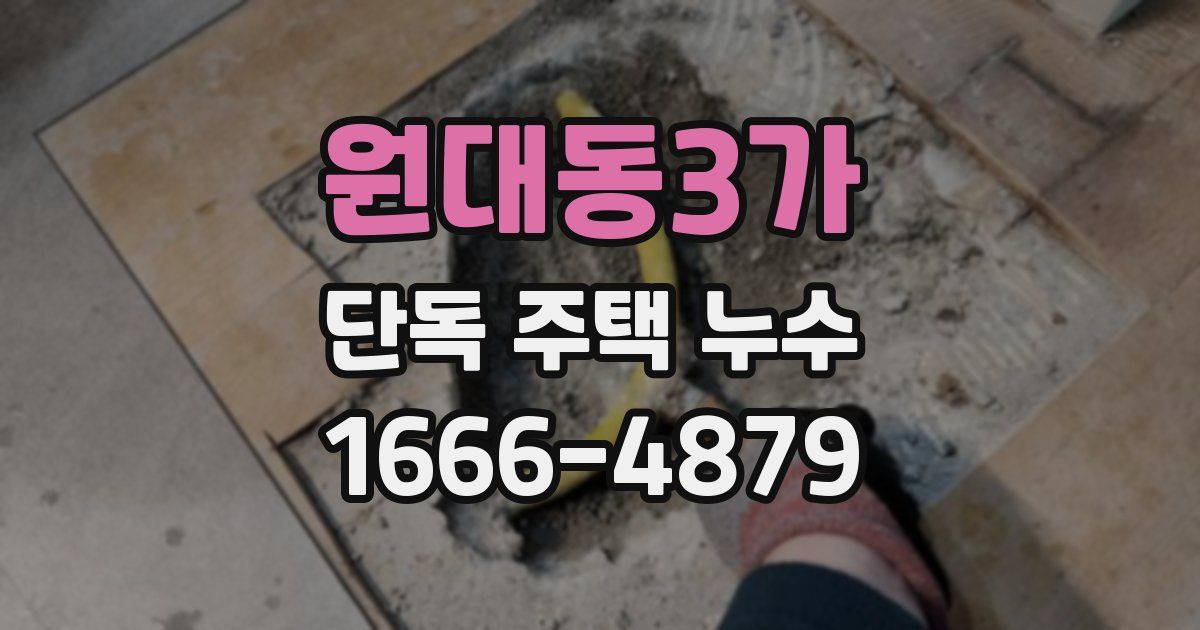 원대동3가 단독 주택 누수