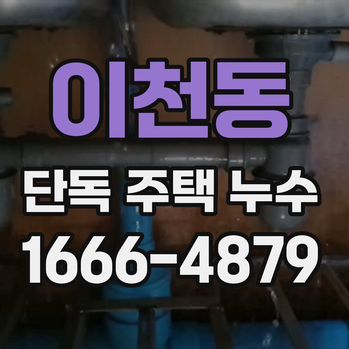 이천동 단독 주택 누수