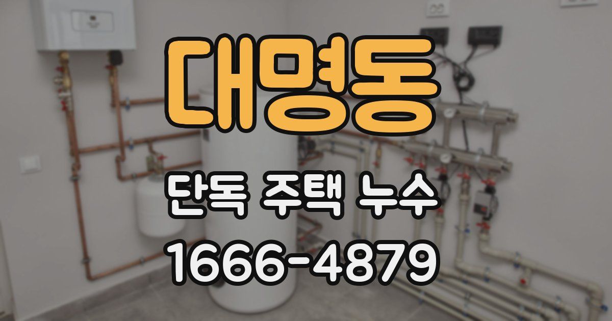 대명동 단독 주택 누수