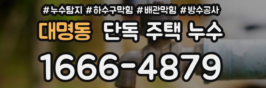 대명동 단독 주택 누수