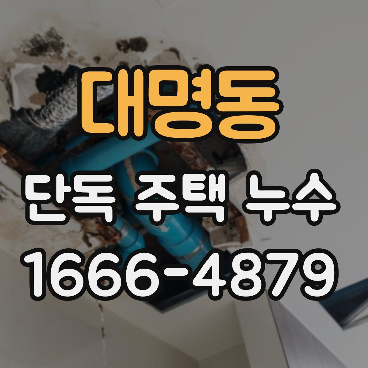 대명동 단독 주택 누수