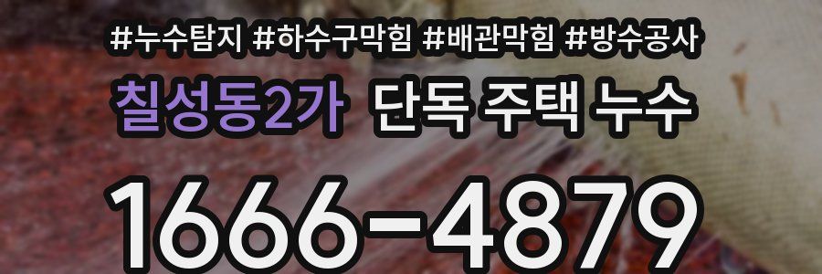 칠성동2가 단독 주택 누수