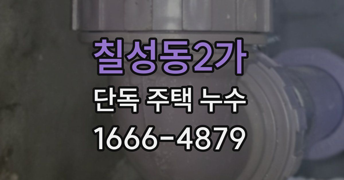 칠성동2가 단독 주택 누수