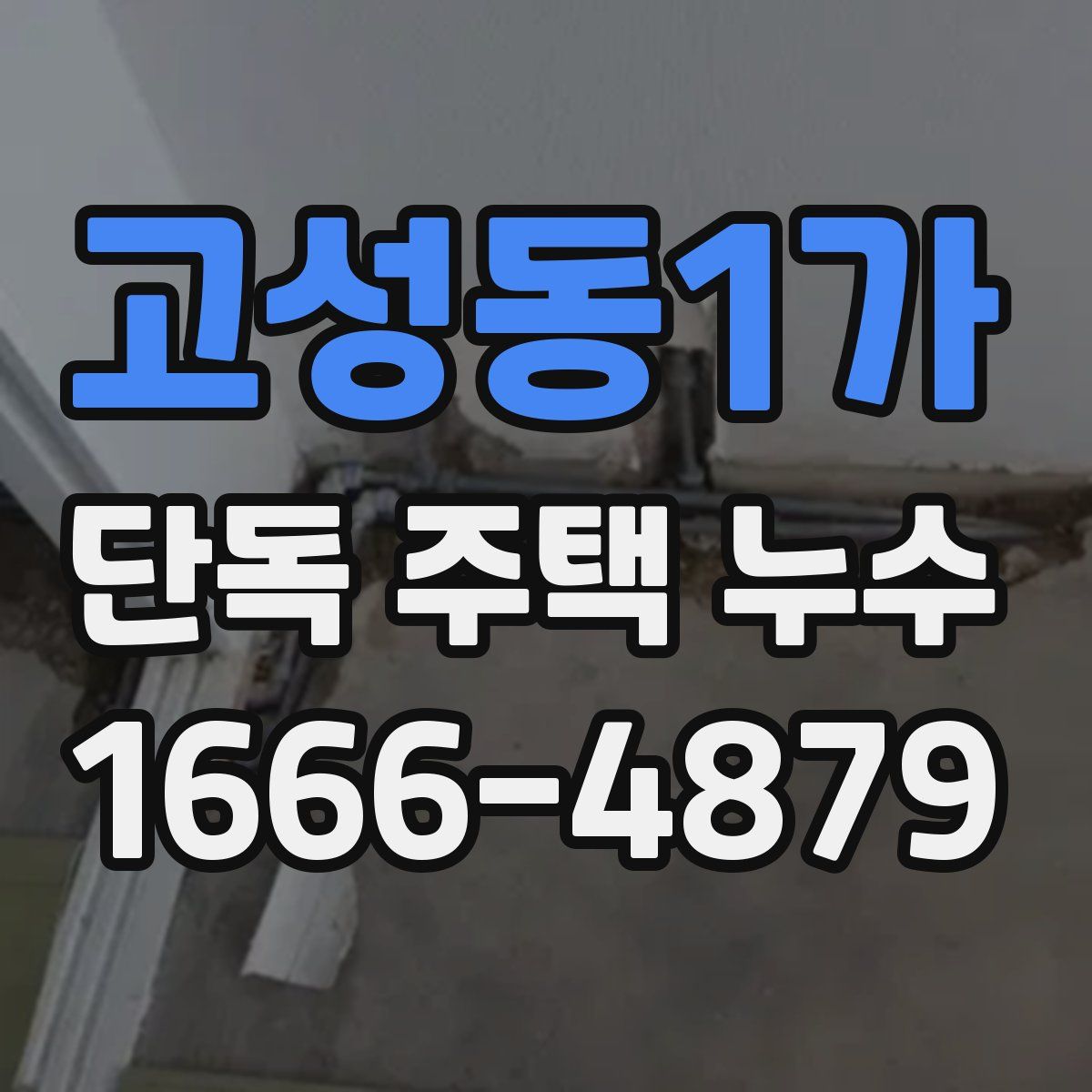 고성동1가 단독 주택 누수