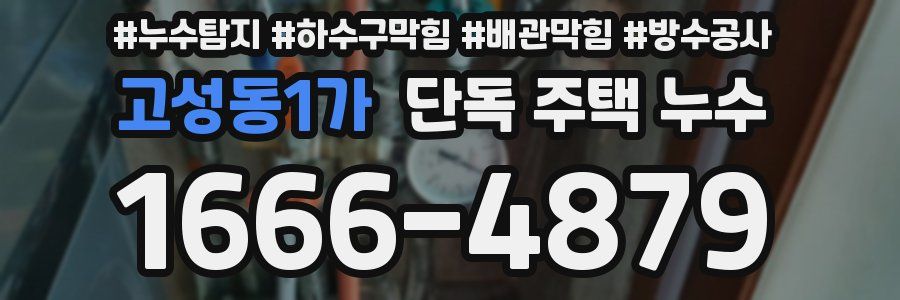 고성동1가 단독 주택 누수
