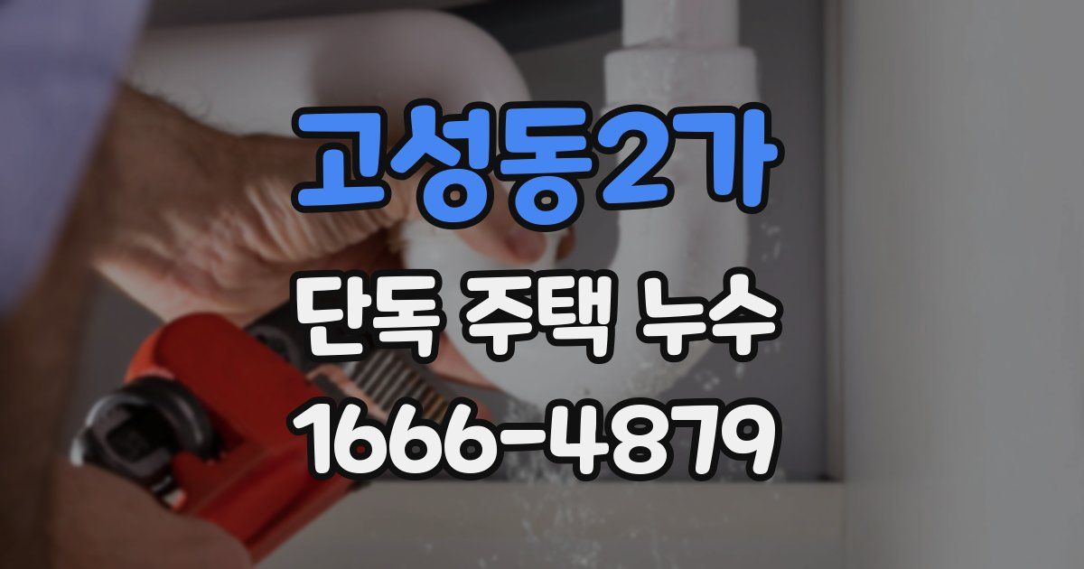 고성동2가 단독 주택 누수