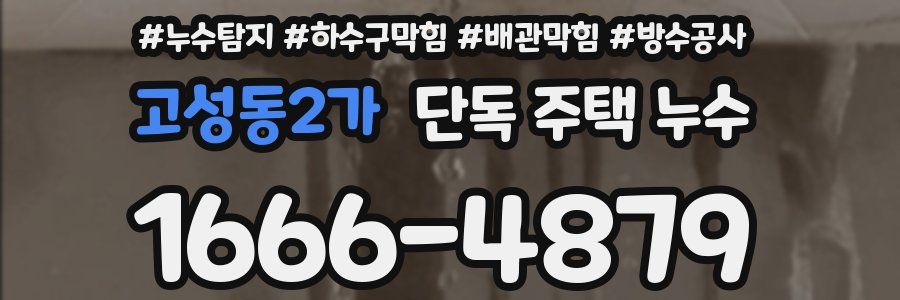 고성동2가 단독 주택 누수