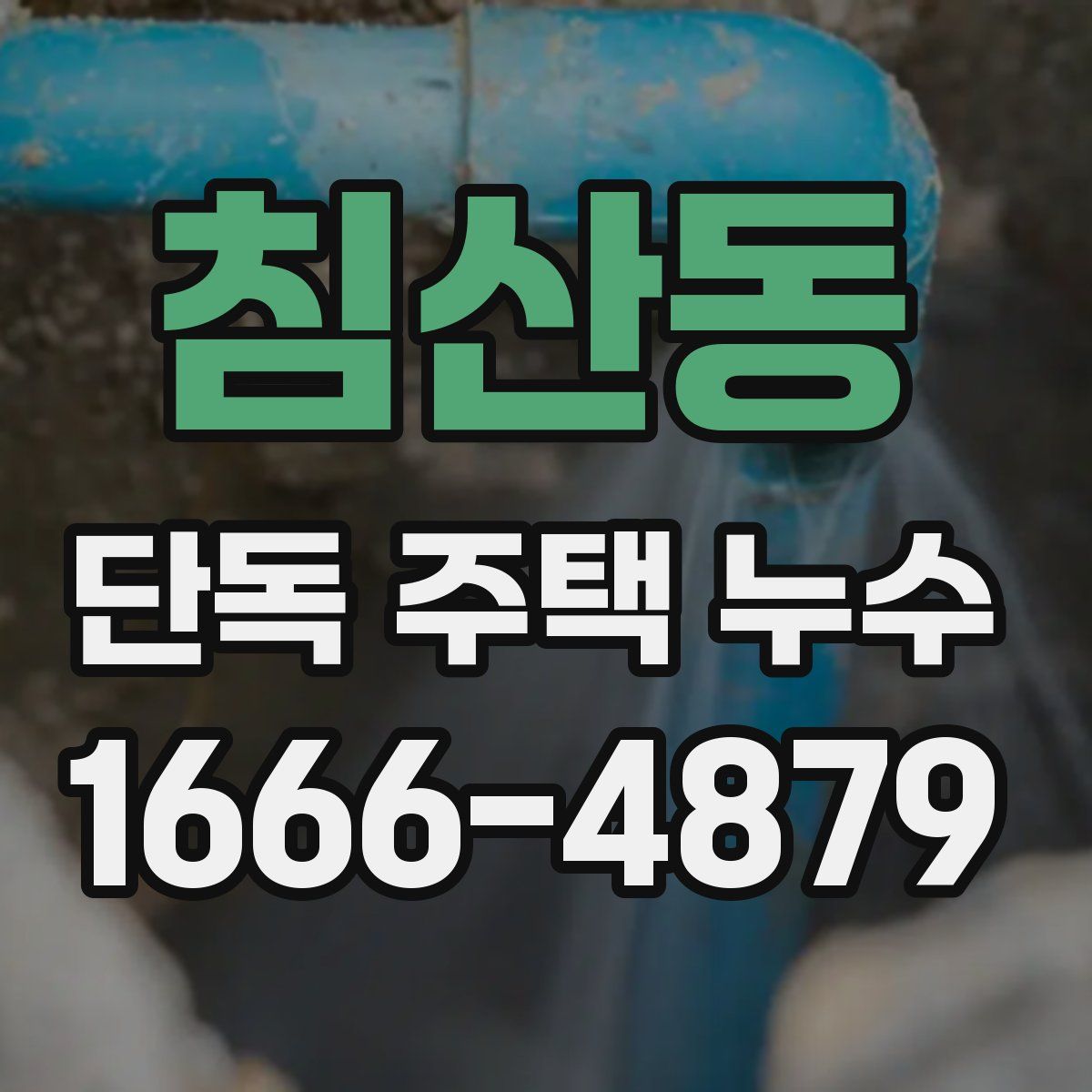침산동 단독 주택 누수