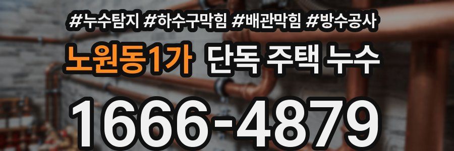 노원동1가 단독 주택 누수