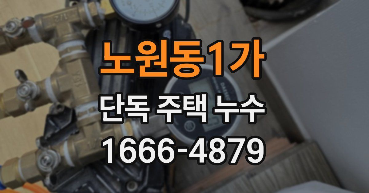 노원동1가 단독 주택 누수