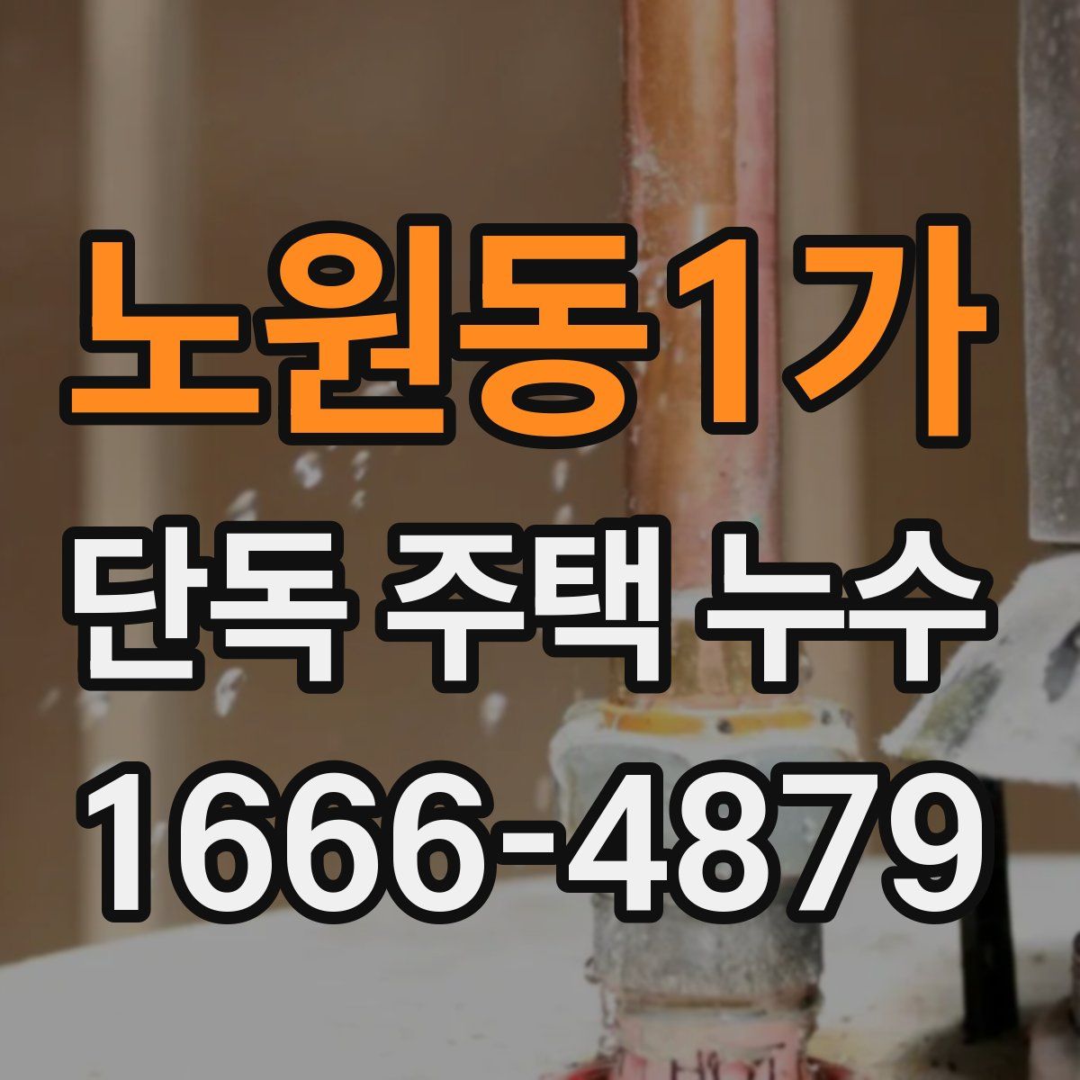노원동1가 단독 주택 누수