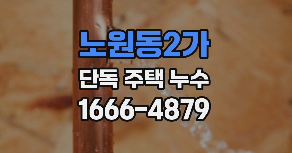 노원동2가 단독 주택 누수