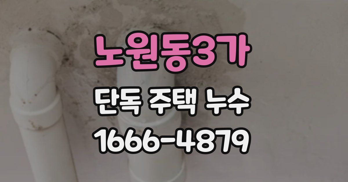노원동3가 단독 주택 누수