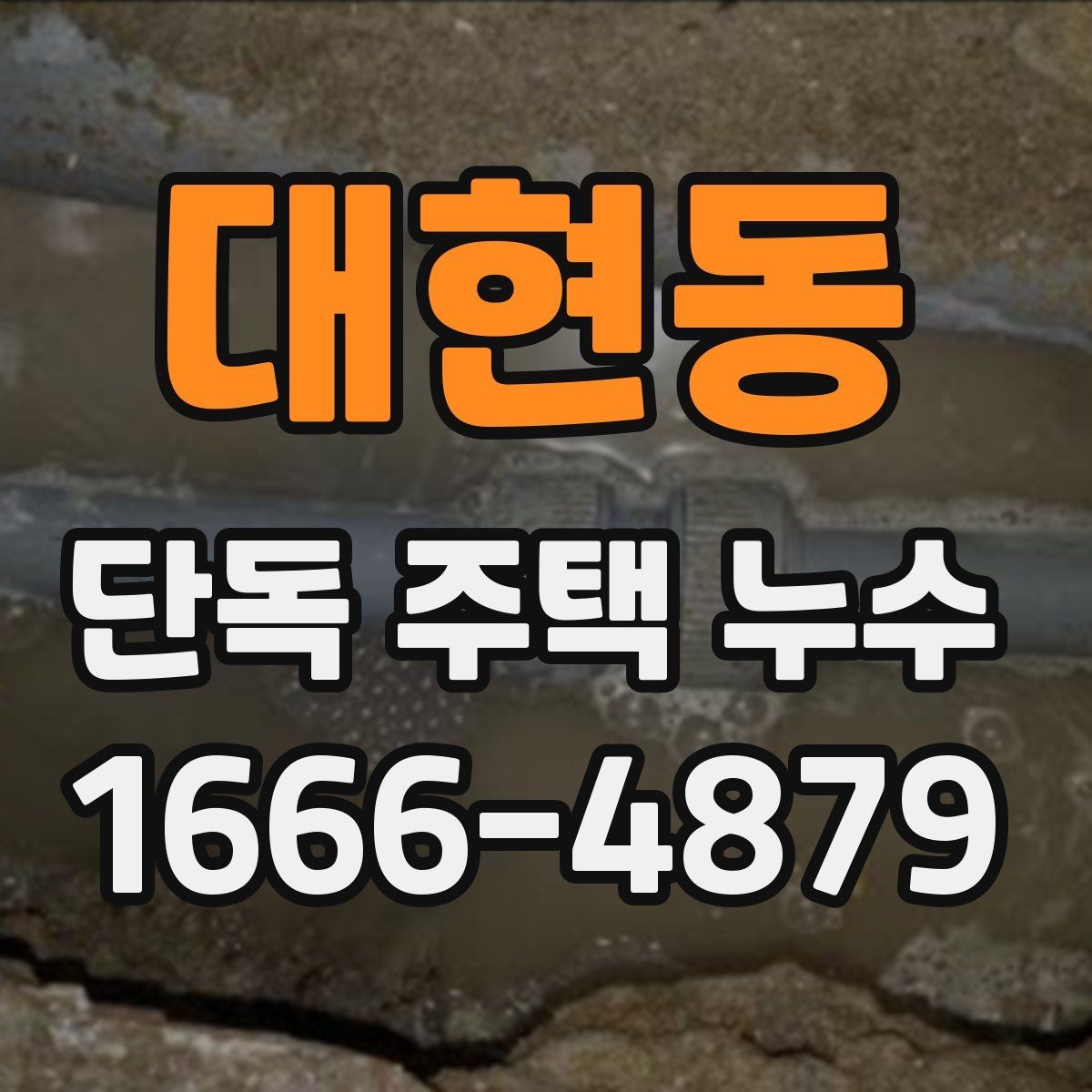 대현동 단독 주택 누수 원인과 점검 순서