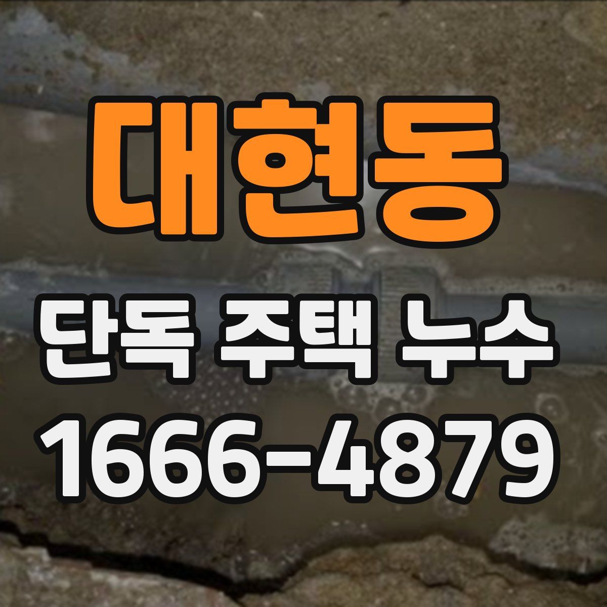대현동 단독 주택 누수