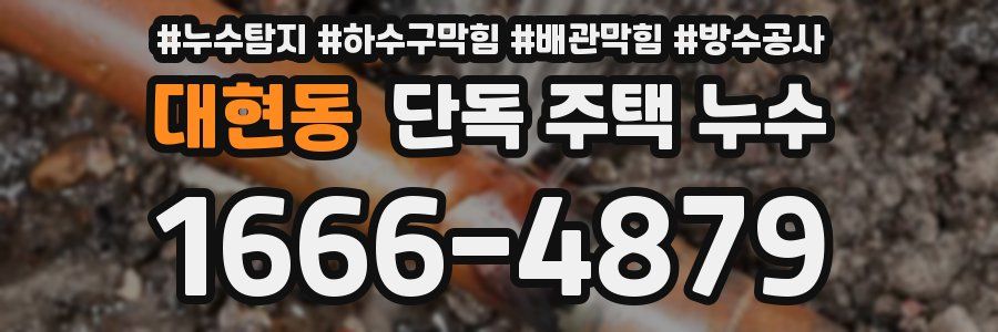 대현동 단독 주택 누수