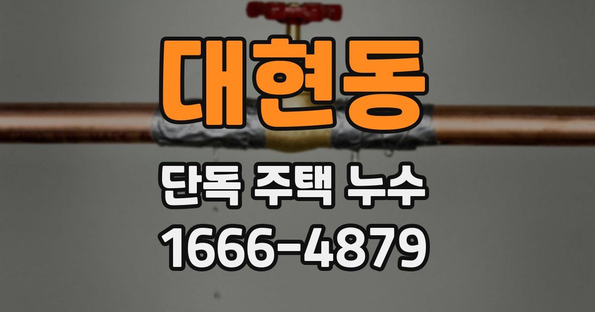 대현동 단독 주택 누수
