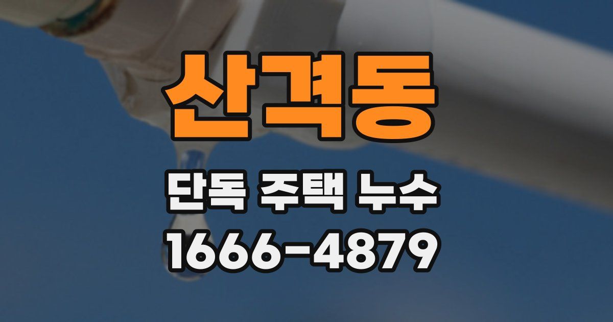 산격동 단독 주택 누수