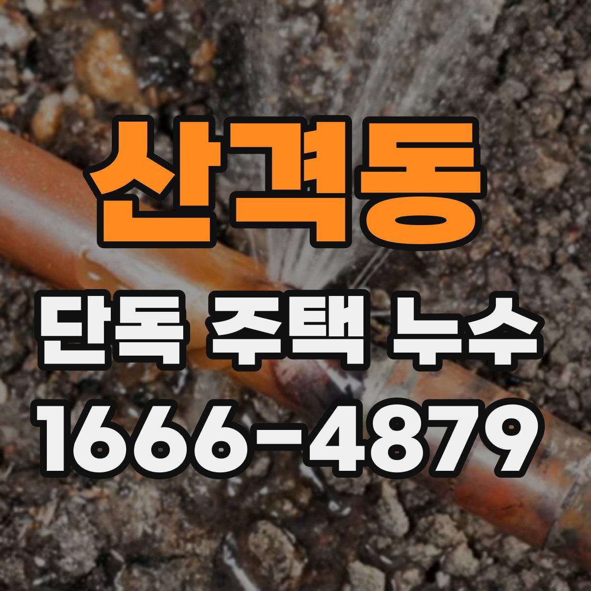 산격동 단독 주택 누수