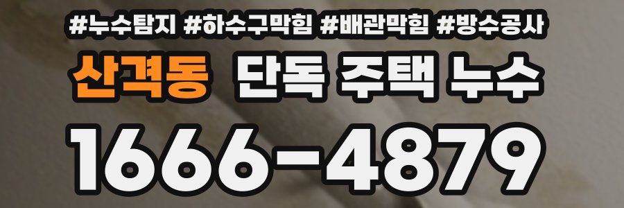 산격동 단독 주택 누수