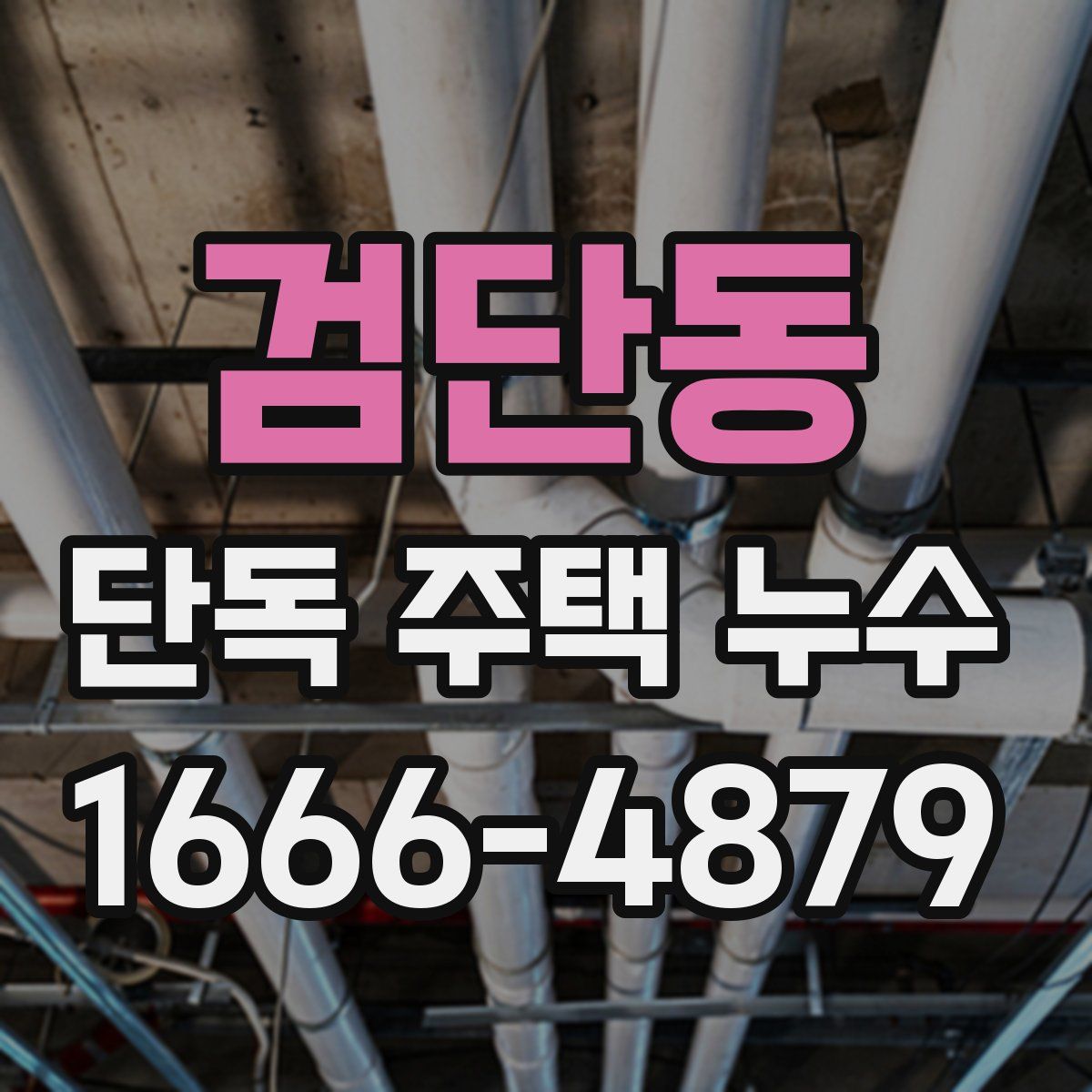 검단동 단독 주택 누수