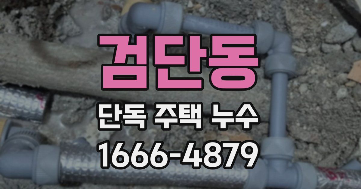 검단동 단독 주택 누수