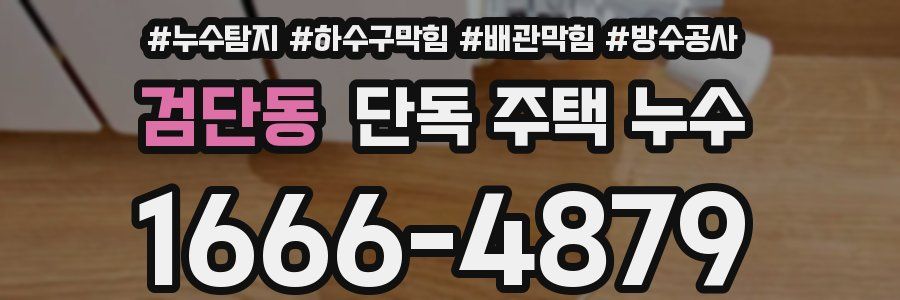 검단동 단독 주택 누수